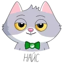 👍 emoji СберКот и его Вселенная :: @stickroom Telegram sticker 21 of 50
