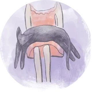 Sticker from Kittens @stickersb2b