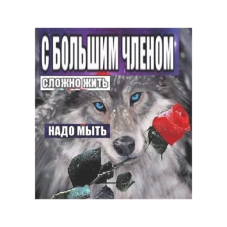 Sticker from Волк