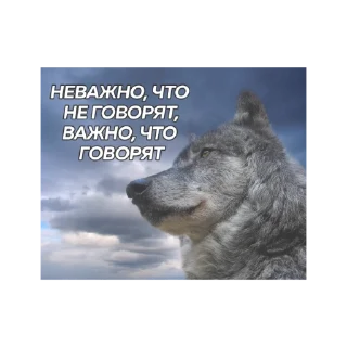 Sticker from Волк