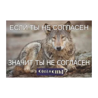 Sticker from Волк