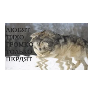 Sticker from Волк