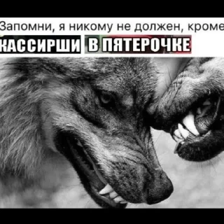 Sticker from Волк