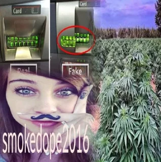 🚬 emoji smokedope2016 Telegram sticker 11 of 23