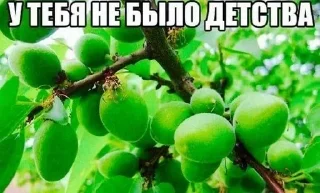 🍇 emoji Больше стиков тут: @stikery4 Telegram sticker 24 of 60
