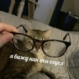 👓 emoji Больше стиков тут: @stikery4 Telegram sticker 19 of 60