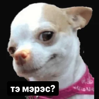 Sticker from Русланчик