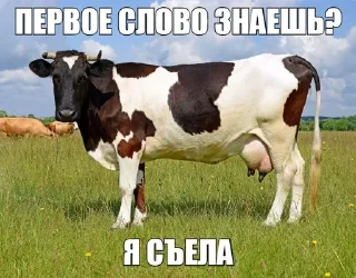 🌟 emoji Тайтидайти&Ammiak Telegram sticker 7 of 108