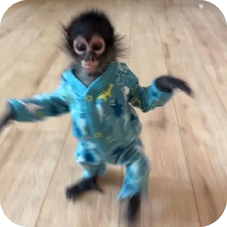 😝 emoji Бибизяна лучший Telegram sticker 5 of 38