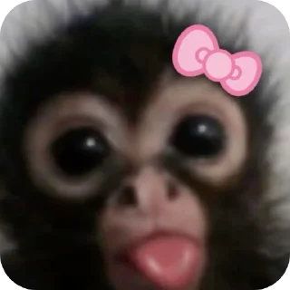 ❤ emoji Бибизяна лучший Telegram sticker 7 of 38