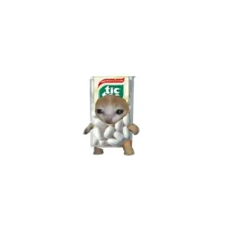 🌟 emoji Kotiki_my_pupsiki Telegram sticker 10 of 120
