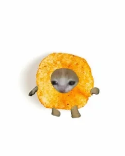 🌟 emoji Kotiki_my_pupsiki Telegram sticker 7 of 120