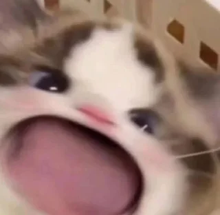 😮 emoji Tomat(o Telegram sticker 22 of 120