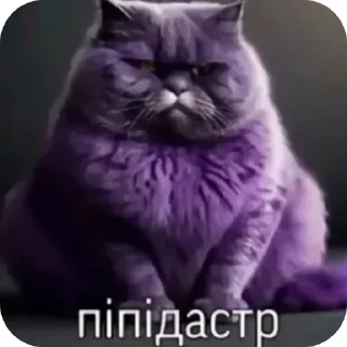 🐱 emoji @FULLSITION <- БОЛЬШЕ Telegram sticker 23 of 119