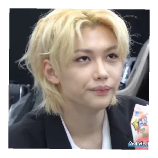 Sticker from skz