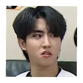 🤨 emoji skz Telegram sticker 16 of 52