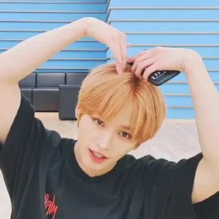 ❣️ emoji skz Telegram sticker 21 of 34