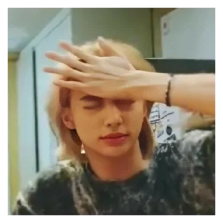 🤦‍♀️ emoji skz Telegram sticker 24 of 52