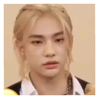 😦 emoji skz Telegram sticker 23 of 52