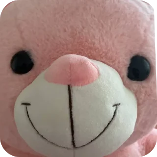 🧸 emoji хуйлушка хуйня хуйлопанизе Telegram sticker 21 of 23