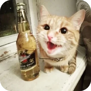 👍 emoji хуйлушка хуйня хуйлопанизе Telegram sticker 13 of 23