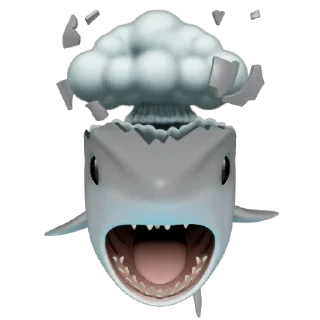 Sticker from 🦈