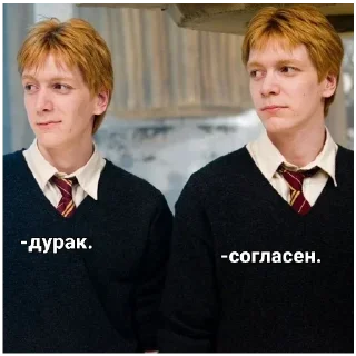 😒 emoji Близнецы уизли 🍂 Telegram sticker 2 of 17