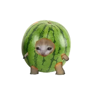 🍈 emoji Бяки-каки — @stckrRobot Telegram sticker 6 of 105
