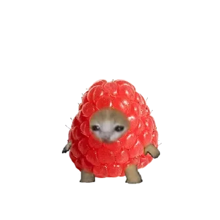 🍓 emoji Бяки-каки — @stckrRobot Telegram sticker 14 of 105