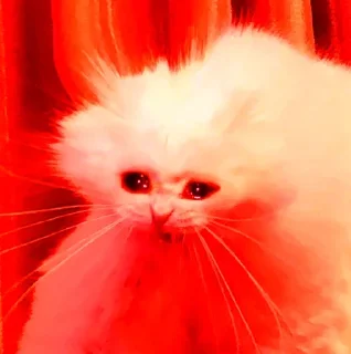 Sticker from 🅰️🅱️🅾️🅱️🅰️