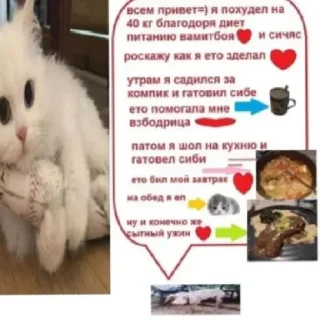 📃 emoji умэкамори @umekomori Telegram sticker 9 of 120