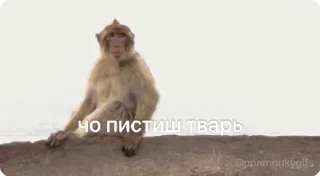 🌟 emoji Больше стикеров 👉🏻 @stickertg4 Telegram sticker 5 of 16