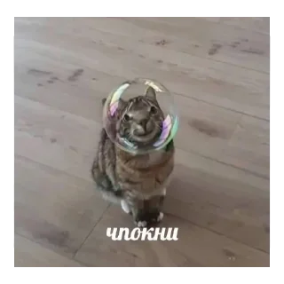 🙂 emoji срака мотика Telegram sticker 14 of 120