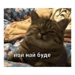 💁‍♀️ emoji срака мотика Telegram sticker 23 of 120