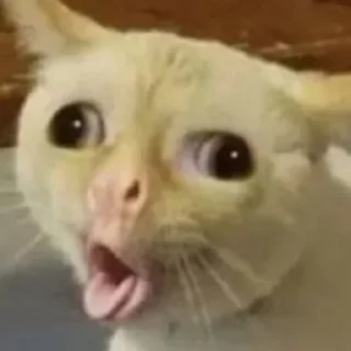🫨 emoji срака мотика 2: wrong number Telegram sticker 24 of 42