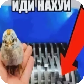 Sticker from Срака