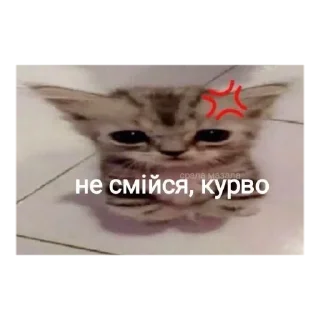 Sticker from срака мотика