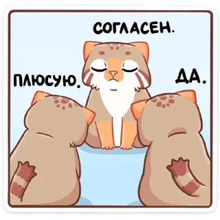 😌 emoji Манул Ур (@TgSticker) Telegram sticker 6 of 48