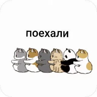 🚂 emoji Котяры ~|~ i love cats Telegram sticker 11 of 54