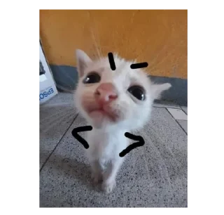 Sticker from ☆i love cats☆