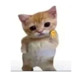 Sticker from ☆i love cats☆