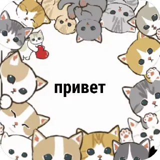 🥺 emoji Котяры ~|~ i love cats Telegram sticker 3 of 54