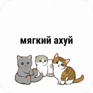 😶 emoji Котяры ~|~ i love cats Telegram sticker 2 of 54