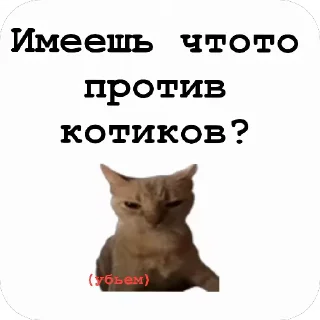 🤬 emoji Котяры ~|~ i love cats Telegram sticker 24 of 54