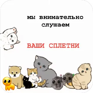 😜 emoji Котяры ~|~ i love cats Telegram sticker 15 of 54