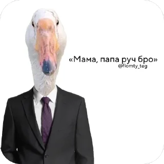 Sticker from Наш слон • @flomty_teg