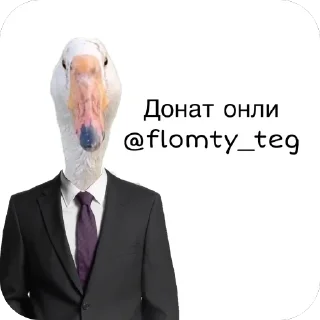 Sticker from Наш слон • @flomty_teg