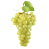 🤩 emoji Фрукты и не токо @IriskoviPirog @TgEmojis_bot Telegram sticker 23 of 98