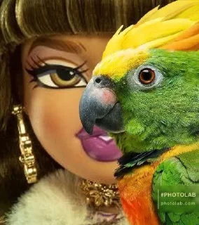 🦜 emoji ФОТО С ПОПУГАЕМ 🦜 | Buhtim Telegram sticker 20 of 50