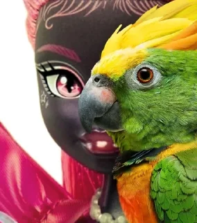 🦜 emoji ФОТО С ПОПУГАЕМ 🦜 | Buhtim Telegram sticker 16 of 50